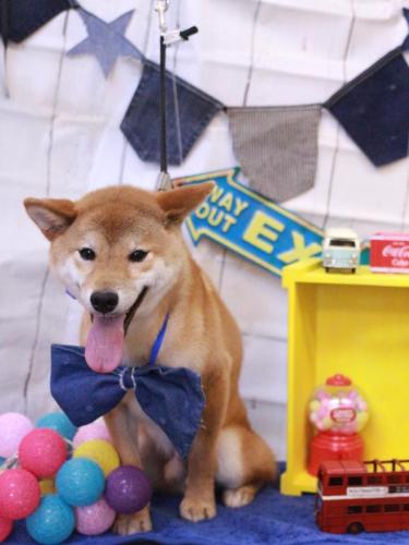 20230401れんたろうくん